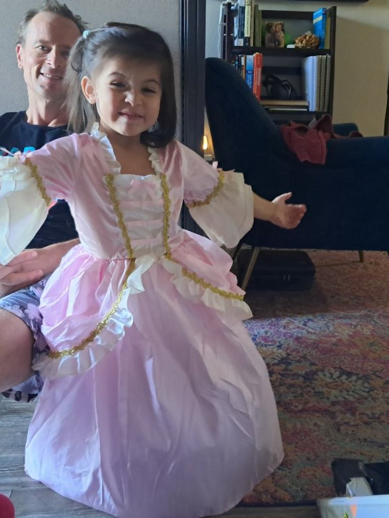 Princess Gown With Deluxe Full Slip Skirt — image 7 of 7